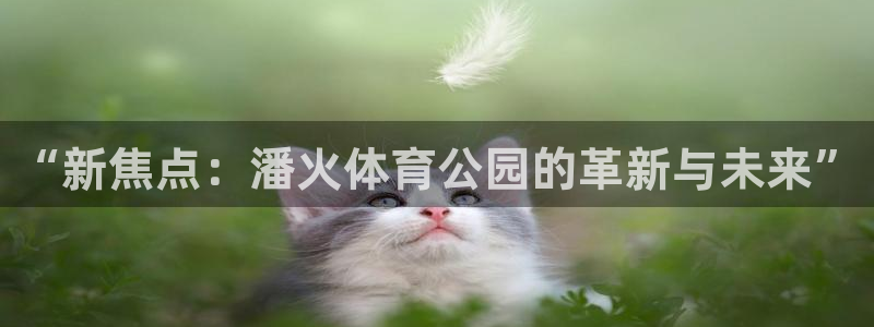 “新焦点：潘火体育公园的革新与未来”